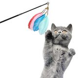 Cat Toys